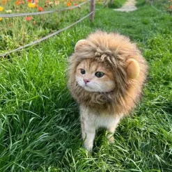 DOWNYPAWS - Coiffe de chapeau de lion mignon pour chiens et chats