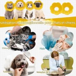 DOWNYPAWS - Collerette élisabéthain chat chien 2 pièces ajustable