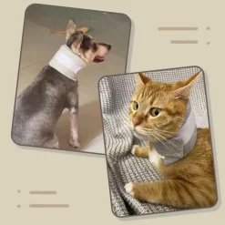 DOWNYPAWS - Collerette pour chat et chien