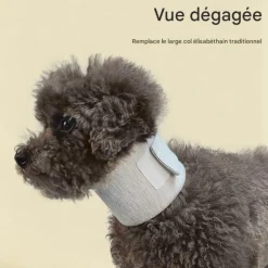 DOWNYPAWS - Collerette pour chat et chien