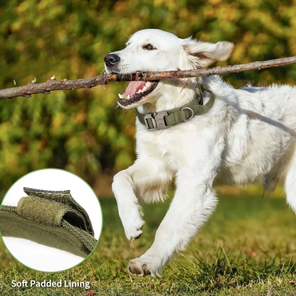 DOWNYPAWS - Collier de chien tactiqu