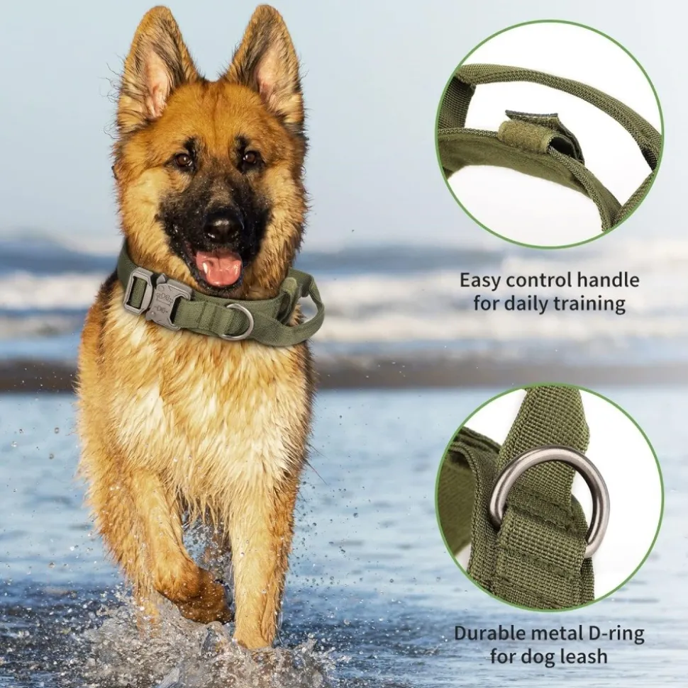 DOWNYPAWS - Collier de chien tactiqu