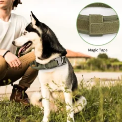 DOWNYPAWS - Collier de chien tactiqu