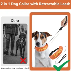 DOWNYPAWS - Collier et laisse intégrés - longueur de corde 100 cm - convient aux chiens de taille moyenne et grande