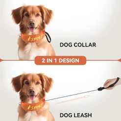 DOWNYPAWS - Collier et laisse intégrés - longueur de corde 100 cm - convient aux chiens de taille moyenne et grande