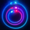 DOWNYPAWS - Collier lumineux rechargeable pour chien taille l : 70 cm de circonférence