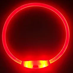DOWNYPAWS - Collier lumineux rechargeable pour chien taille s rouge : 30 cm de circonférence
