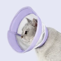 DOWNYPAWS - Collier pour chat roland violet