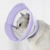 DOWNYPAWS - Collier pour chat roland violet