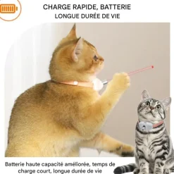 DOWNYPAWS - Colliers pour animaux de compagnie-deux colliers pour chat avec laser-rose + vert