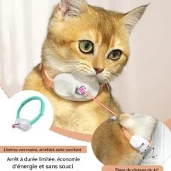 DOWNYPAWS - Colliers pour animaux de compagnie-deux colliers pour chat avec laser-rose + vert