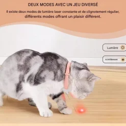 DOWNYPAWS - Colliers pour animaux de compagnie-deux colliers pour chat avec laser-rose + vert