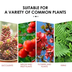 DOWNYPAWS - Comprimés de nutrition pour la croissance des plantes 22 comprimés*3