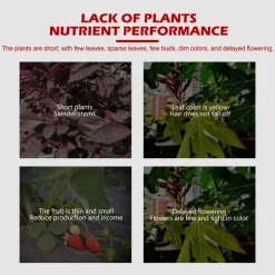 DOWNYPAWS - Comprimés de nutrition pour la croissance des plantes 22 comprimés*3