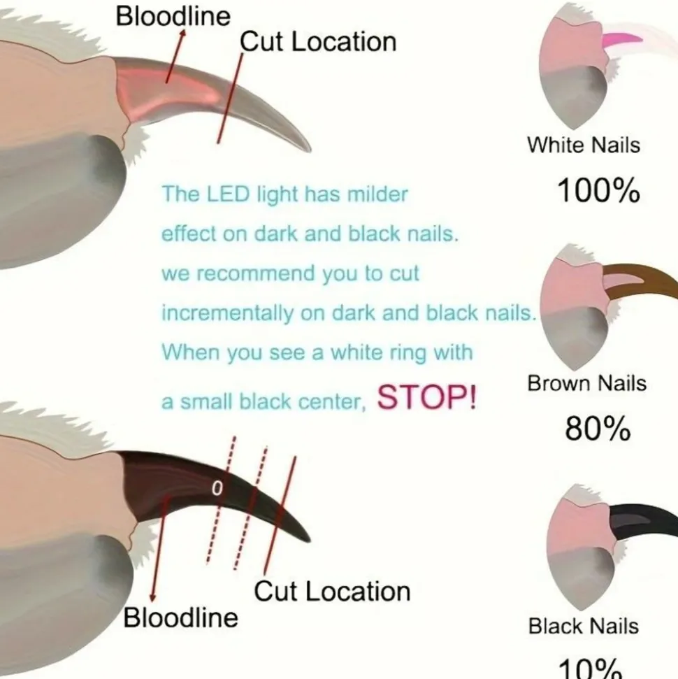 DOWNYPAWS - Coupe - ongles universel à led, chargement usb avec lime pour chats et chiens