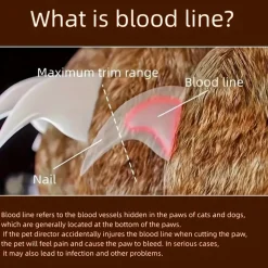 DOWNYPAWS - Coupe - ongles ergonomique antidérapant à led, précis et sûr pour chats et chiens