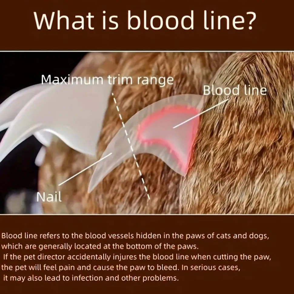 DOWNYPAWS - Coupe - ongles ergonomique antidérapant à led, précis et sûr pour chats et chiens