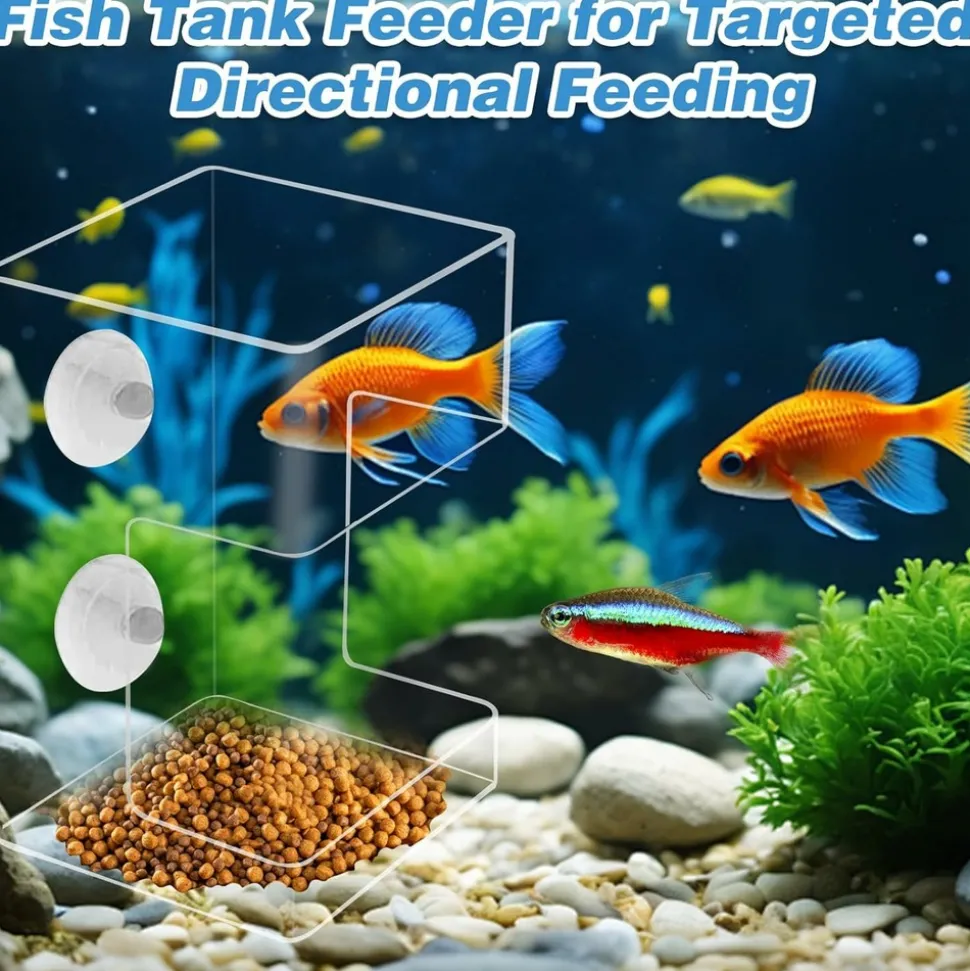 DOWNYPAWS - Distributeur carré transparent à ventouse