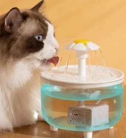 DOWNYPAWS - Distributeur d'eau en circulation pour chats: filtre automatique flux d'eau en direct - fournitures pour animaux de compagnie