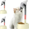 DOWNYPAWS - Distributeur d'eau sur pied chien et chat évolutif