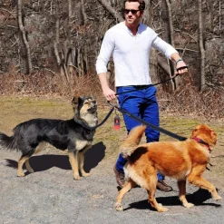 DOWNYPAWS - Distributeur de sacs poubelle pour chiens-4 pièces : gris et rouge + bleu clair et bleu foncé + vert clair et vert foncé + orange