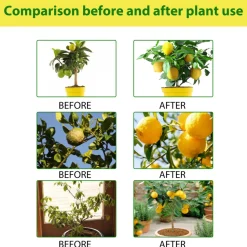 DOWNYPAWS - Engrais en spray pour citronnier, 100 ml