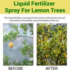 DOWNYPAWS - Engrais en spray pour citronnier, 100 ml