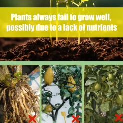 DOWNYPAWS - Engrais en spray pour citronnier, 100 ml