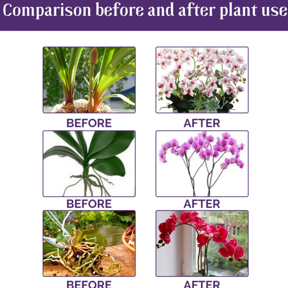 DOWNYPAWS - Engrais liquide pour la croissance des orchidées 50 ml