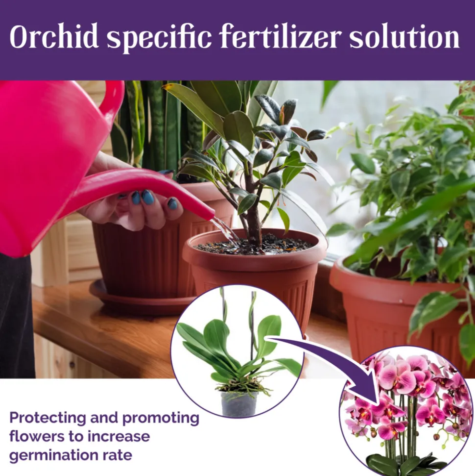 DOWNYPAWS - Engrais liquide pour la croissance des orchidées 50 ml