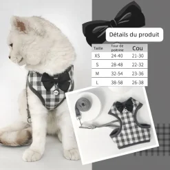 DOWNYPAWS - Ensemble de laisse pour chat xs