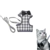 DOWNYPAWS - Ensemble de laisse pour chat s