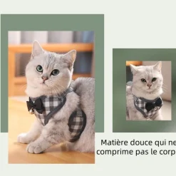 DOWNYPAWS - Ensemble de laisse pour chat s