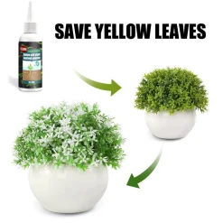 DOWNYPAWS - Essence nutritive végétale aux acides aminés - 30 ml