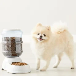 DOWNYPAWS - Fdistributeur automatique pour chiens et chats-gris 32*18*30cm