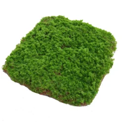 DOWNYPAWS - Feuille de mousse artificielle en peluche 20×20 cm*2 pièces