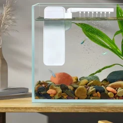 DOWNYPAWS - Filtration aquarium silencieuse et compacte