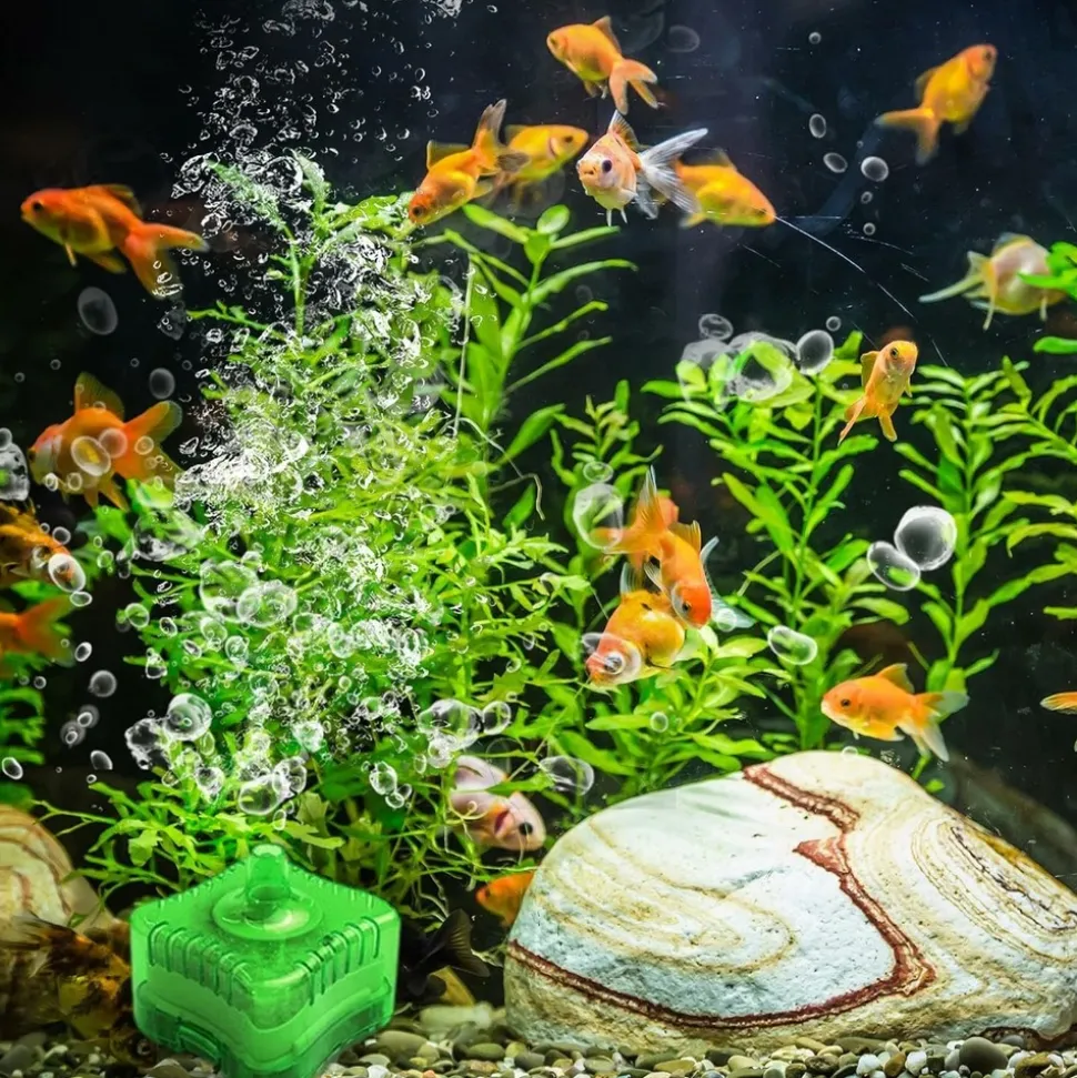 DOWNYPAWS - Filtration éponge multifonction pour nano aquarium