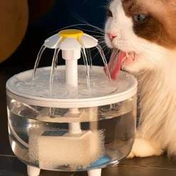 DOWNYPAWS - Fontaine à Eau Transparente Ultra-Silencieuse, Alimentée Par USB Pour Animaux De Compagnie