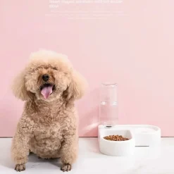 DOWNYPAWS - Fontaine Et Gamelle Automatiques Pour Chats