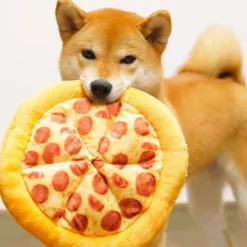 DOWNYPAWS - Frisbee pour chien-matière pelucheuse jouets interactifs- en forme de pizza-23.5cm