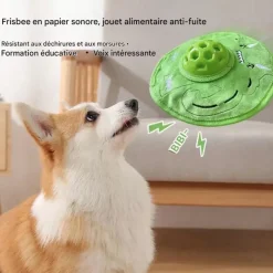 DOWNYPAWS - Frisbees pour chiens grincer-jouets interactifs-diamètre 22cm