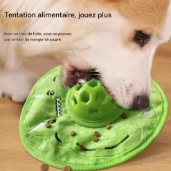 DOWNYPAWS - Frisbees pour chiens grincer-jouets interactifs-diamètre 22cm