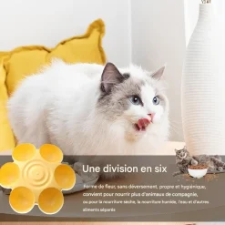 DOWNYPAWS - Gamelle en forme de fleur - 6 gamelles antidérapantes de qualité