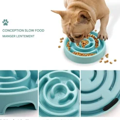 DOWNYPAWS - Gamelles pour chien