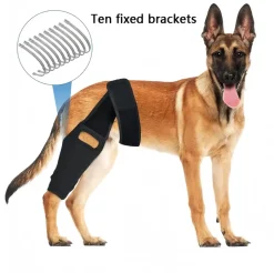 DOWNYPAWS - Genouillèrepourchien: attelledecuisseréglablefixationpostopératoire protectiondesjambesaprèsblessurearticulaire