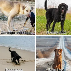 DOWNYPAWS - Gobelet de lavage des pieds pour animaux de compagnie portable orange avec brosse douce