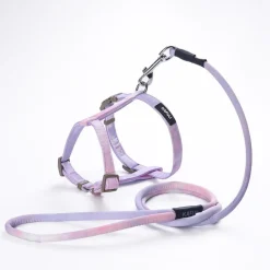 DOWNYPAWS - Harnachement et laisse pour chat m