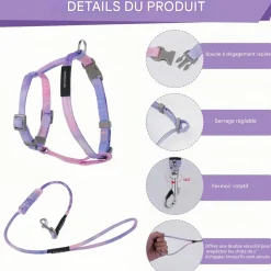 DOWNYPAWS - Harnachement et laisse pour chat m