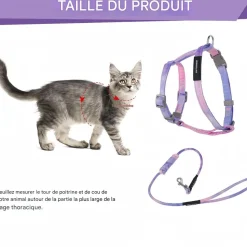 DOWNYPAWS - Harnachement et laisse pour chat m